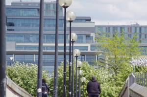 10402578_608175009280636_346839134455134647_n