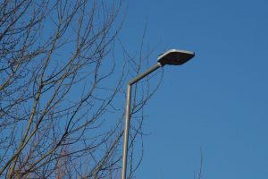 10488102_723865684378234_9164233079392702120_n