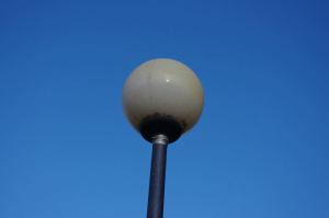 1530479_547922501972554_1135462948_n