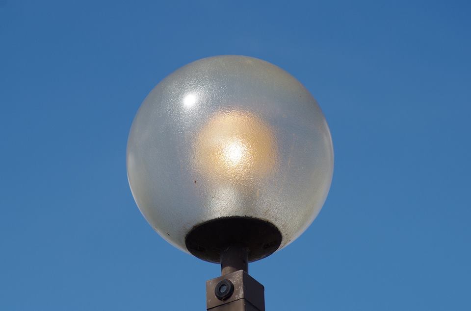 17861870_1244235805674550_2887137875454791348_n